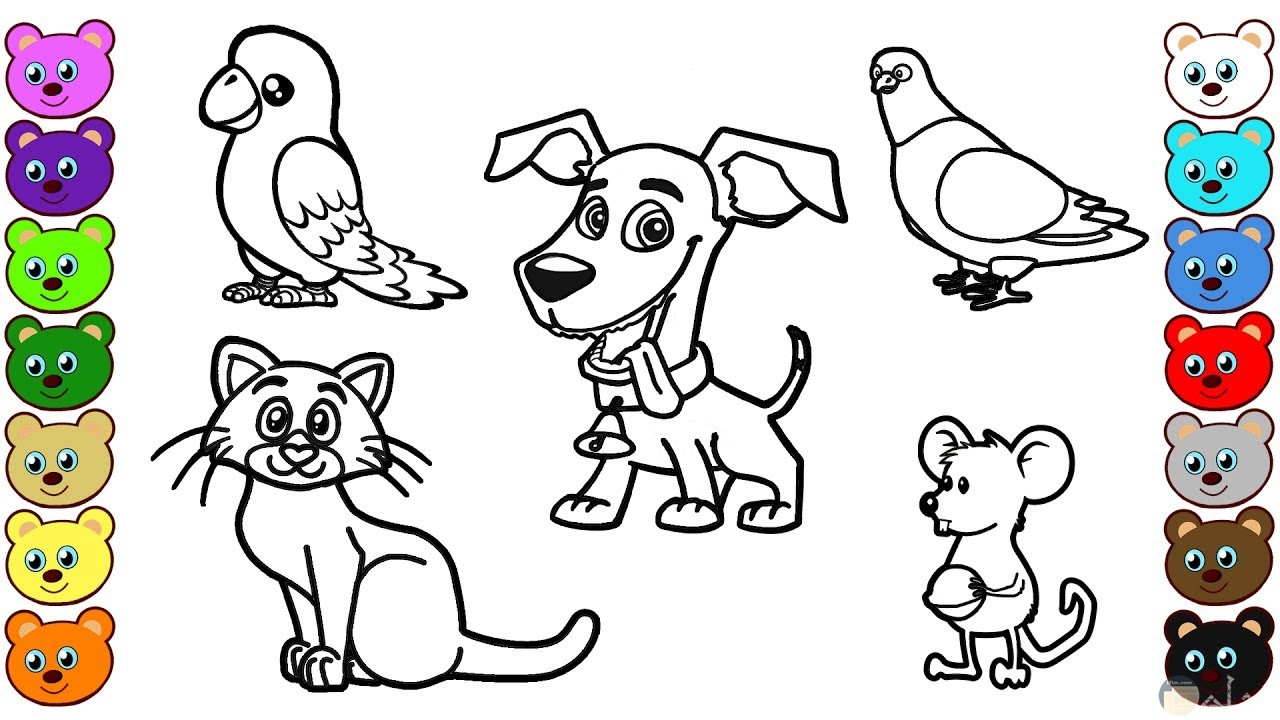Color pets. Раскраски. Животные. Раскраски животные для детей. Домашние животные раскраска для детей. Pet раскраска для детей.